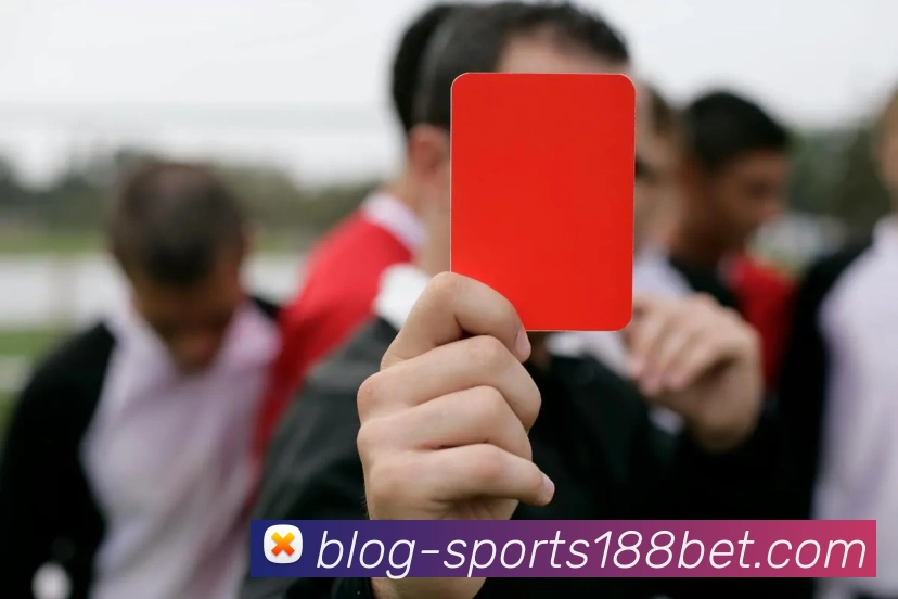 188bet体育平台生态图